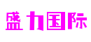上海市盛力国际智慧科技有限公司